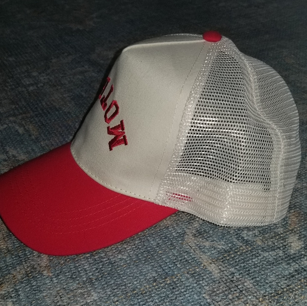 David and Young Hat - Picture 3 of 4